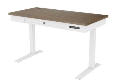 Electric Standing Desk